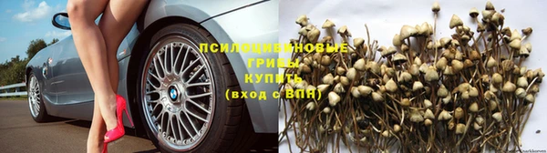 кокаин перу Гусев