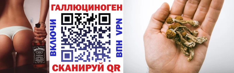 Галлюциногенные грибы GOLDEN TEACHER  Купить  Чаплыгин 